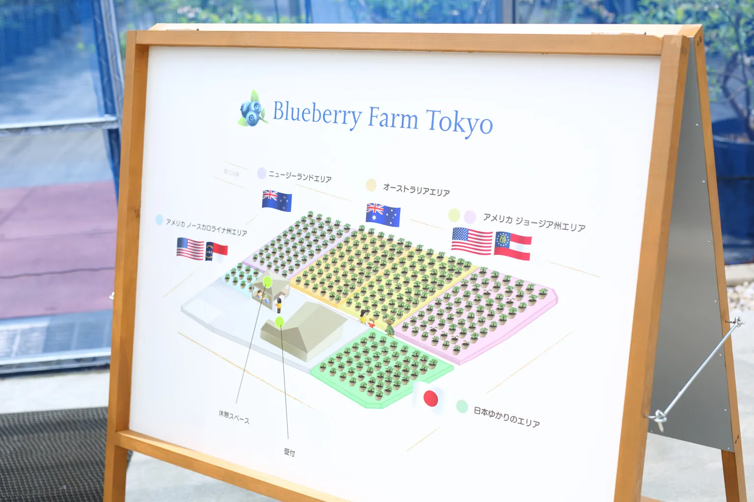 農園内のエリアマップ。アメリカやニュージーランド、オーストラリア原産の3系統のほか、日本産ブルーベリーのコーナーも。