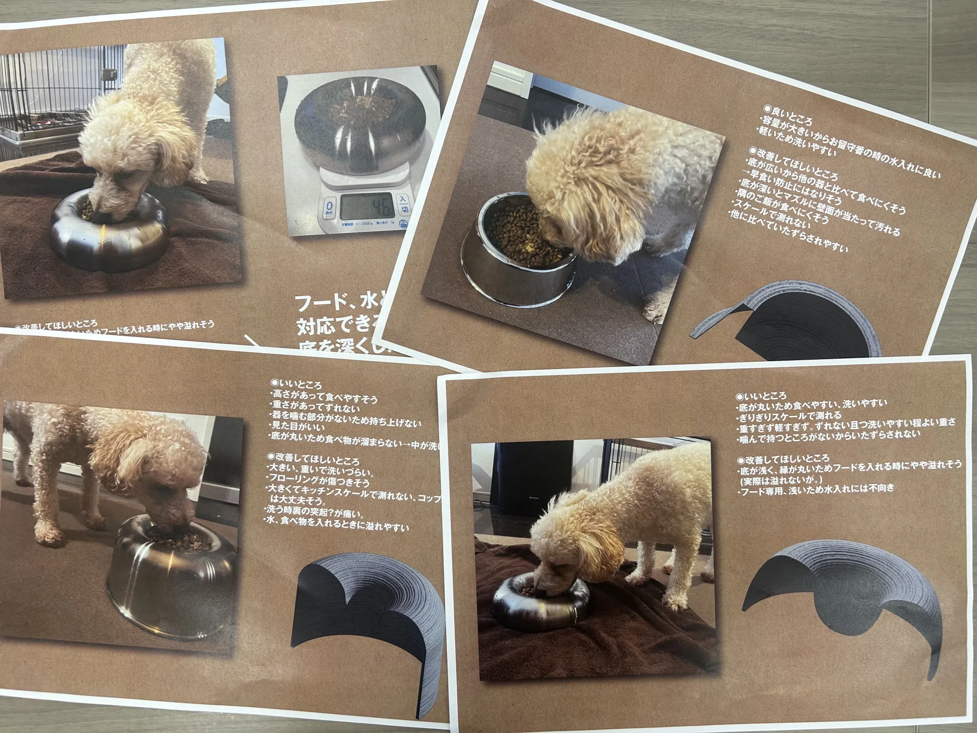 中河さんのプレゼンテーション資料。事前にTASHIKAブランドのトレーをお借りし、中川さんの愛犬が実際にどのような反応を示すのかをリサーチしました。