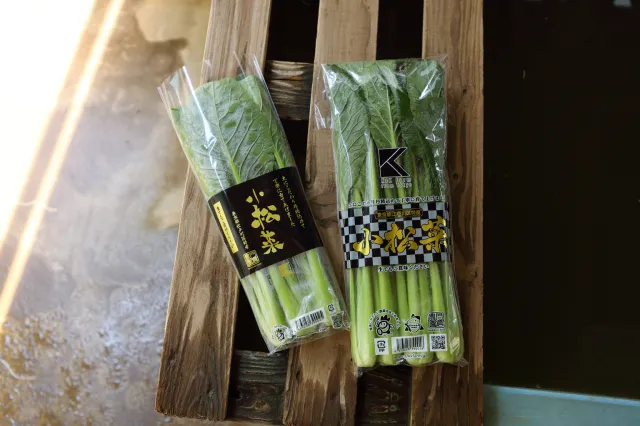 K&K Farm（小松菜）