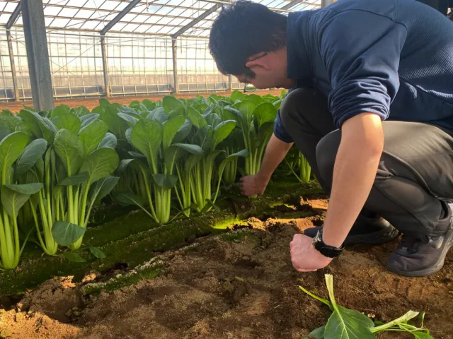 第2回えどコレ！工房体験ツアー開催！組子コースター作りと小松菜の収穫体験を満喫