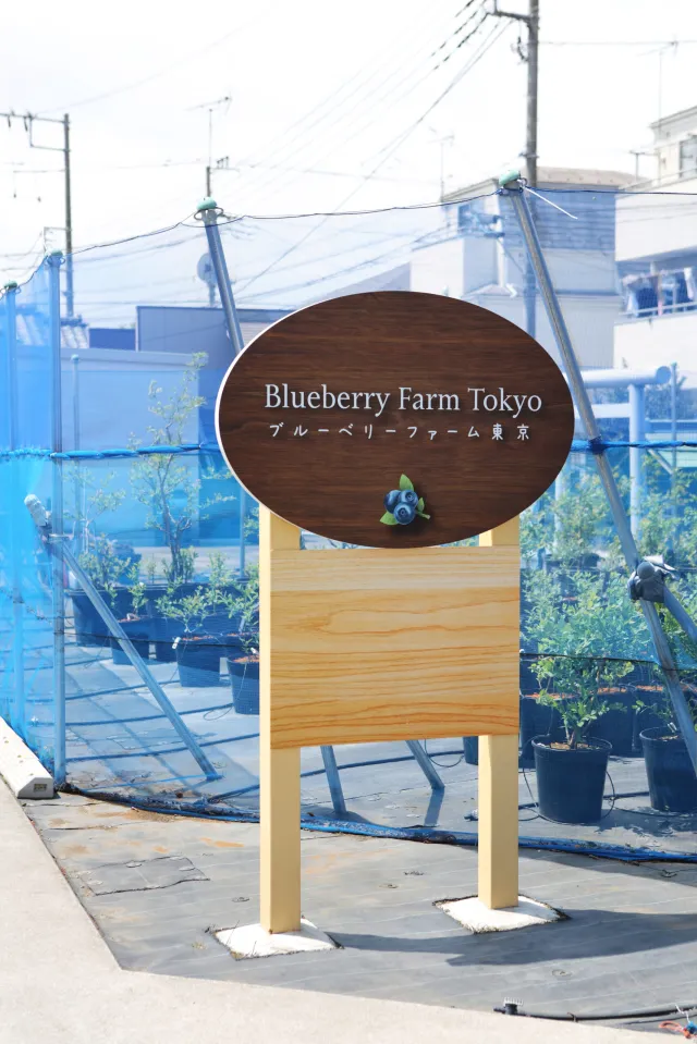 ブルーベリーファーム東京