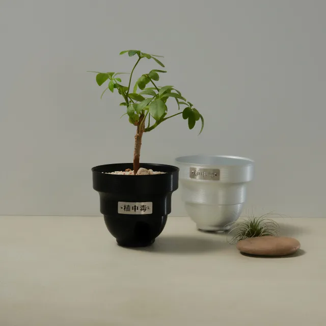 ヘラ目を残した植木鉢